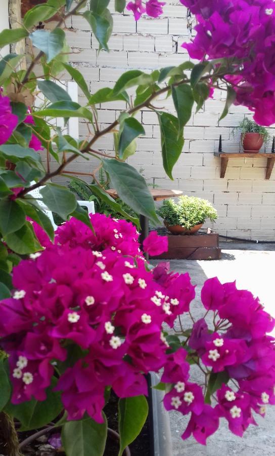 Johny's Apartament Kallithea (Chalkidiki)